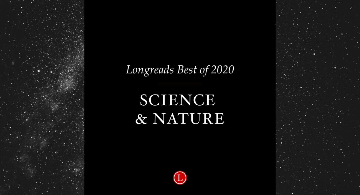 Longreads Best of 2020: Science and Nature