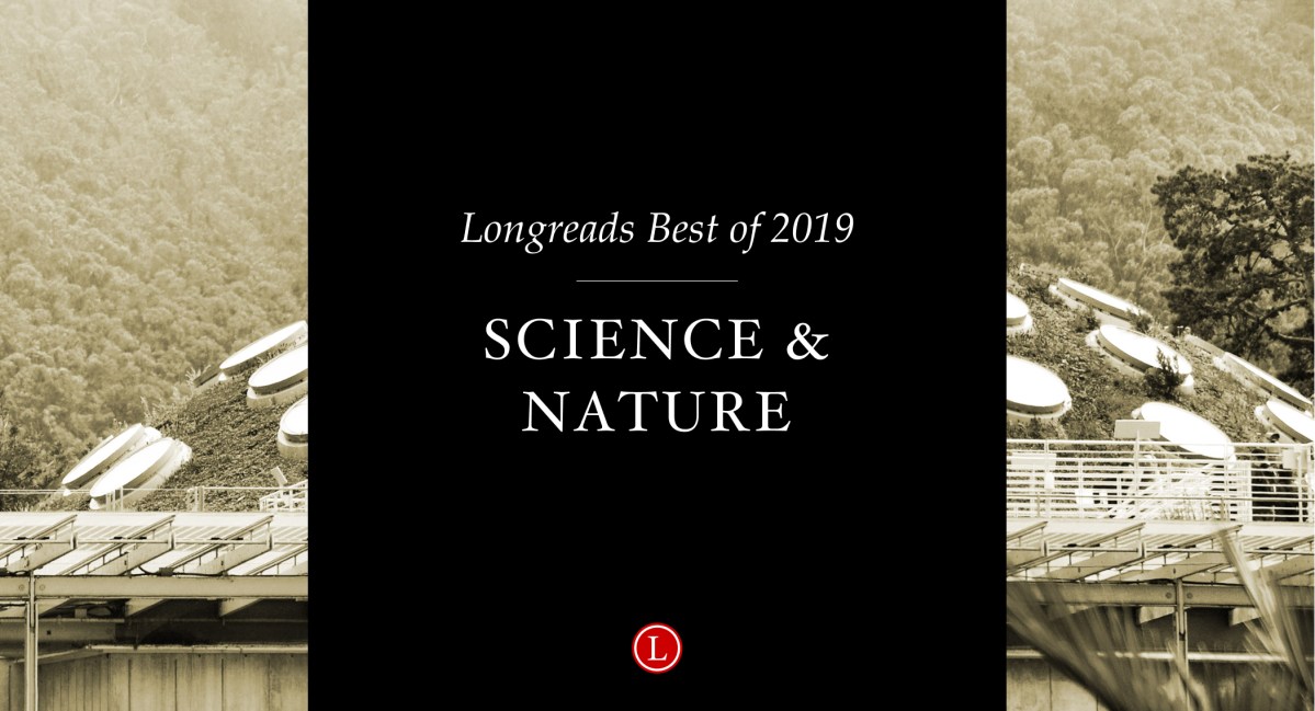 Longreads Best of 2019: Science and Nature