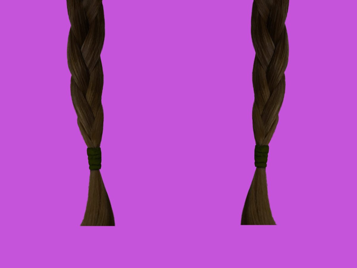 Two long black braids hanging on a light purple background