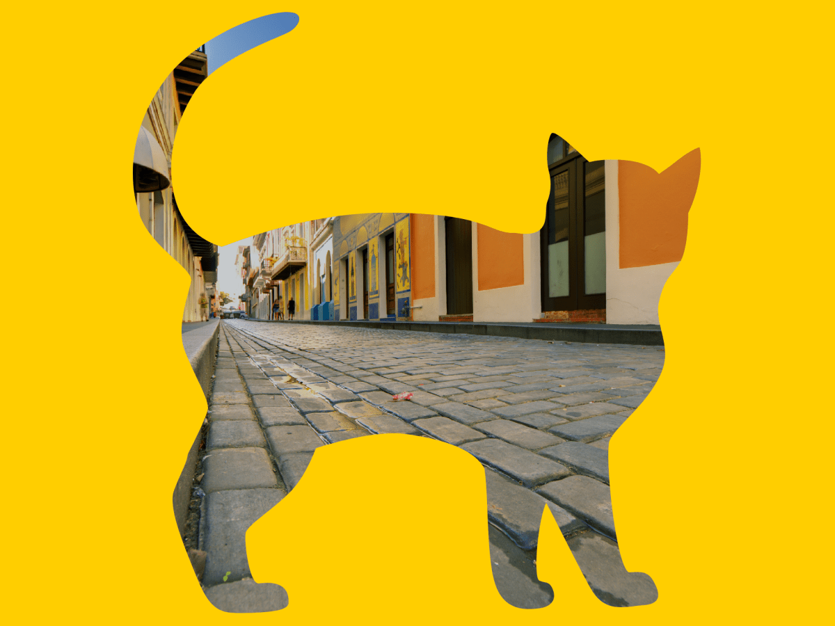 A silhouette of a cat, through which you can see a cobblestone street of Old San Juan.