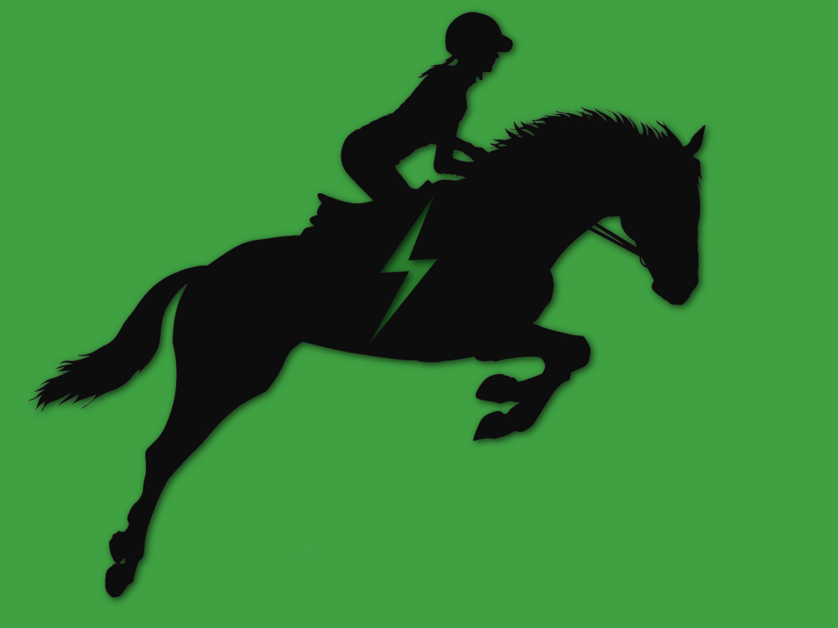 The silhouette of a horse and rider against a green background